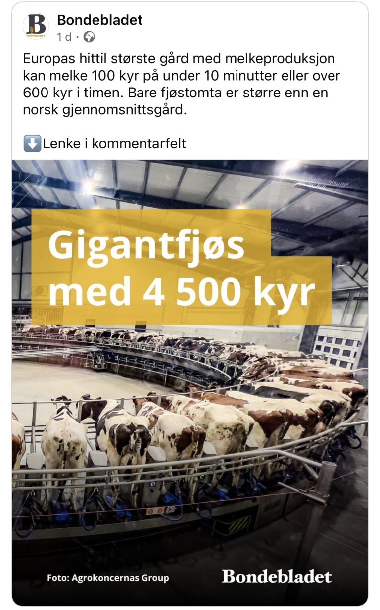 Bildet: hentet fra bondelaget.no: https://www.bondebladet.no/europas-storste-kufjos-apnet-i-litauen-plass-til-4500-kyr-og-10-000-storfe/s/5-152-129461